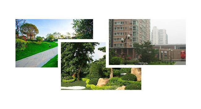 產(chǎn)品優(yōu)勢(shì)